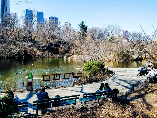 20180221_131234_resized